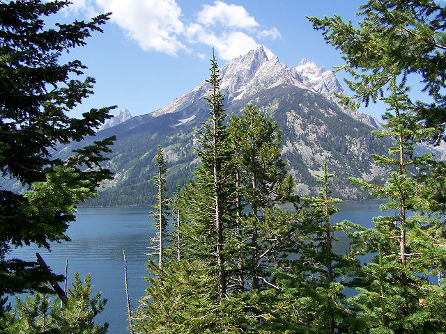Grand Tetons